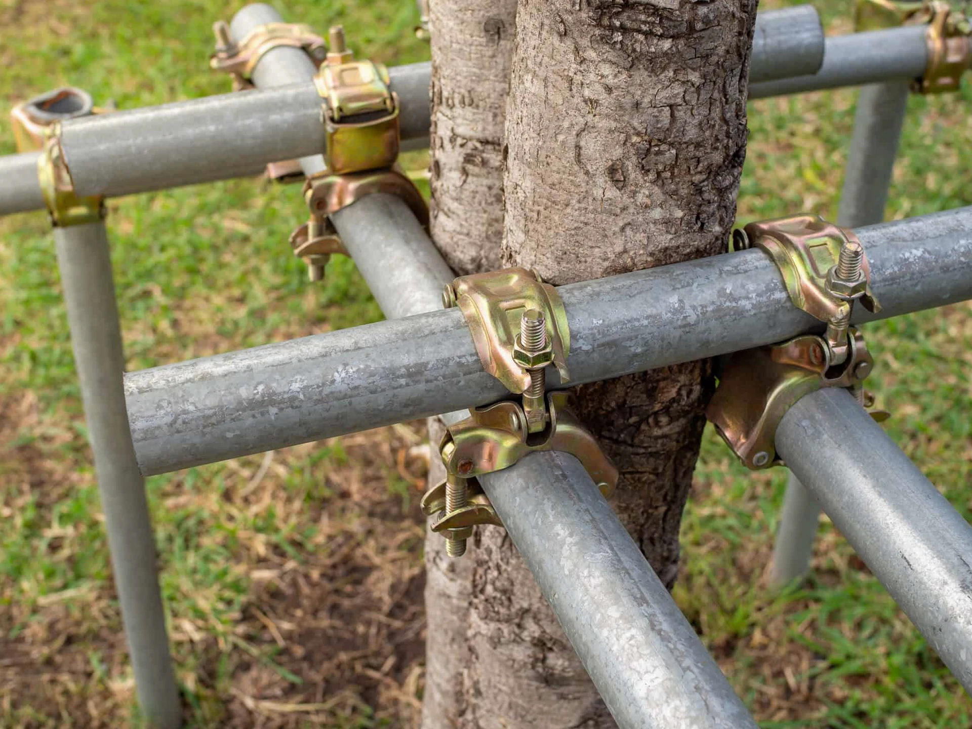 Emergency Tree Bracing service in Montgomery, AL